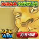 Spin and Win (NEW)