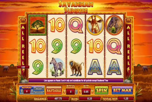 Savannah sunrise slot