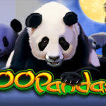 100 Pandas