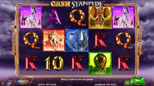 cash-stampede