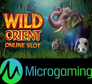 wild_orient