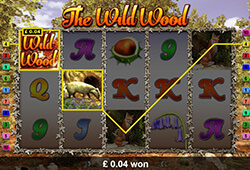 The Wild Wood