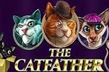 The CatFather