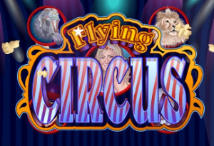 Flying circus