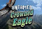 Untamed Crowned Eagle