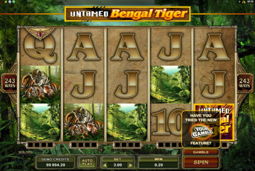 Untamed Bengal Tiger