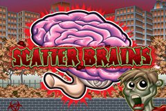 Scatter Brains