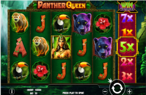 panther queen1