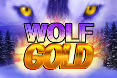 Wolf Gold