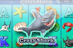 Crazy Shark