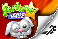 Fortune Race
