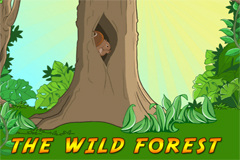The Wild Forest