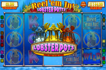 Reel ‘Em In Lobster Potty