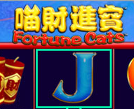 Fortune Cats