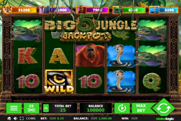big5jungle1