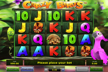 Crazy birds novomatic slot game live best Youngstown secrets crazy birds novomatic slot game options odds live
