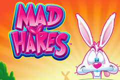 Mad Hares