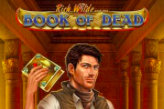 book of dead slot play n go with Rich Wilde
