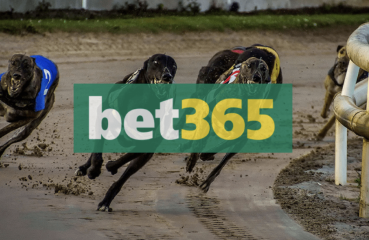 Bet365 Signs “Significant Sponsorship Deal” in its Commitment to UK Greyhound Racing