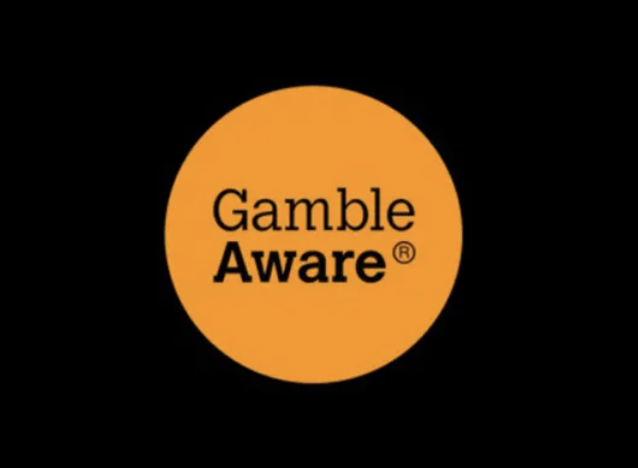 GambleAware Set to Launch Lived Experience Council