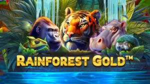 Image of Rainforest Gold slot