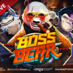 Boss Bear