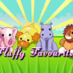 Fluffy Favourites