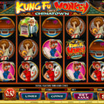 Kung Fu Monkey