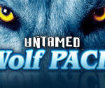 Untamed Wolf Pack