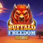Buffalo Freedom DoubleMax