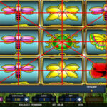 Butterfly Classic