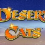 Desert Cats