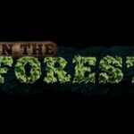 In the Forest