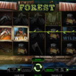 In the Forest