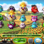 Birds!