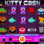 Kitty Cash