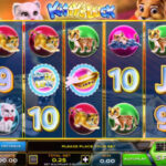 Kitty’s Luck