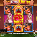 The Dog House