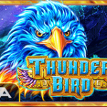 Thunder Bird