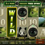 Untamed Giant Panda